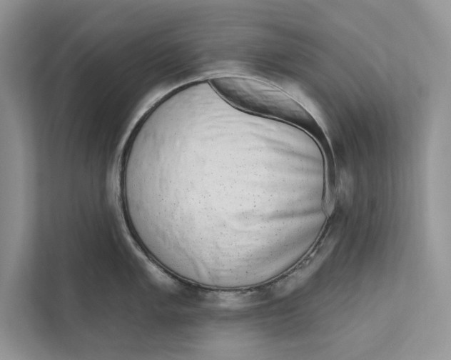 X0000110861005200907091336