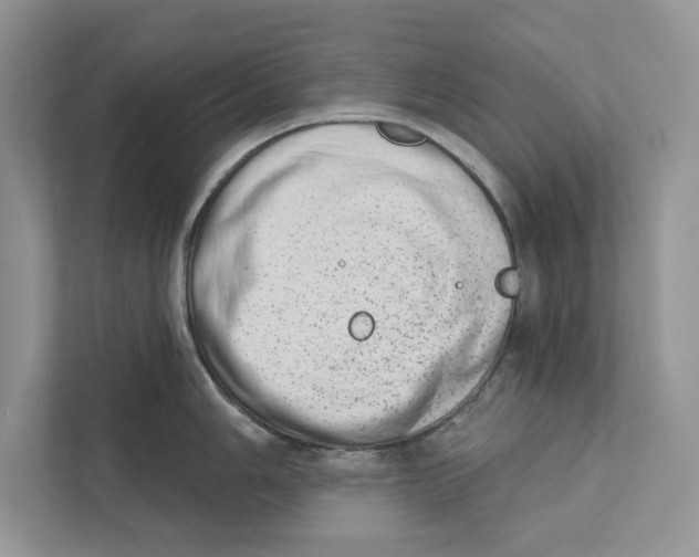 X0000110861006200907091336