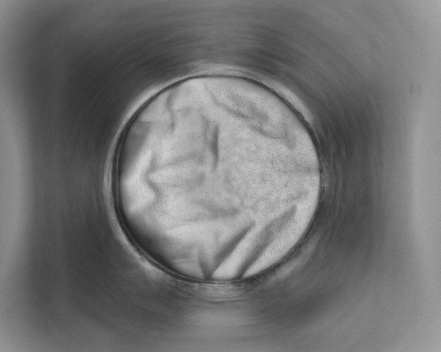 X0000110861007200907091336