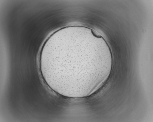 X0000110861008200907091336