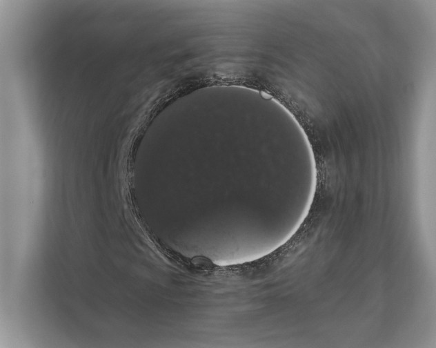 X0000110861009200907091336