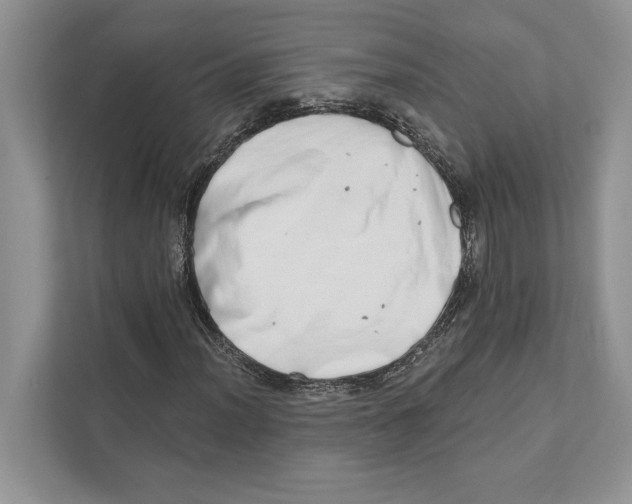 X0000110861012200907091336