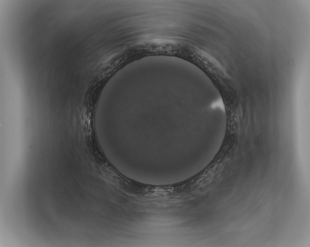 X0000110861013200907091336