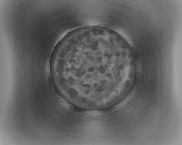 X0000110861023200907091336