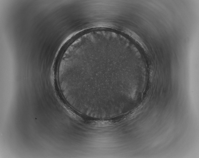 X0000110861024200907091336