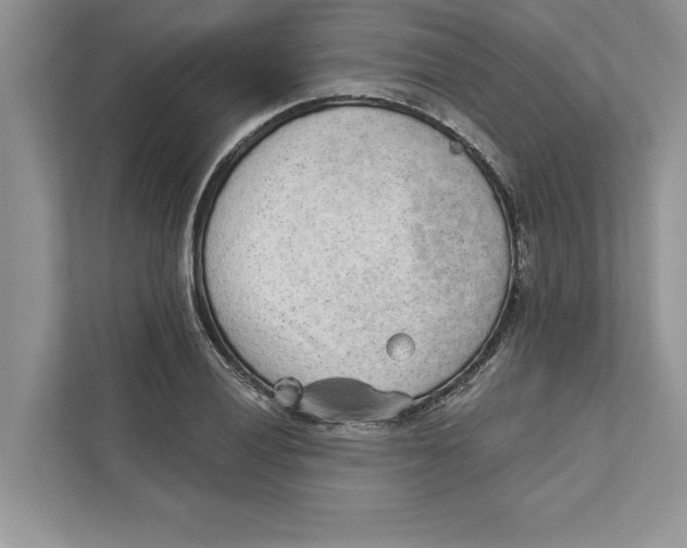 X0000110861028200907091336