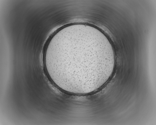 X0000110861030200907091336