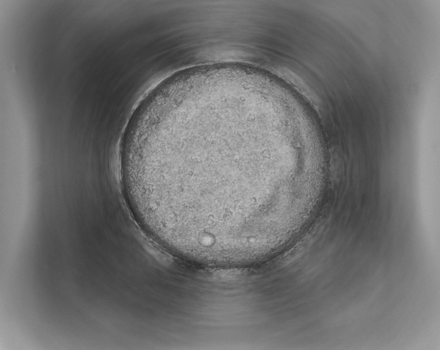 X0000110861031200907091336