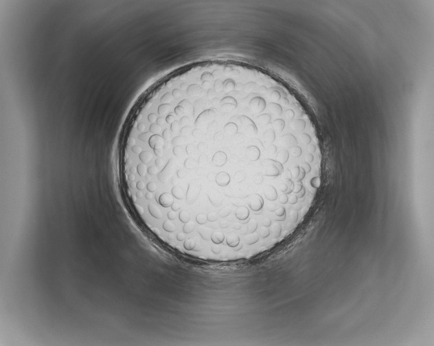 X0000110861032200907091336