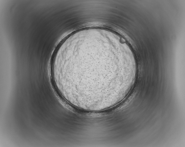 X0000110861034200907091336