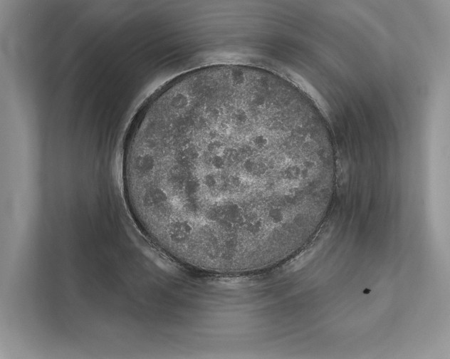 X0000110861035200907091336