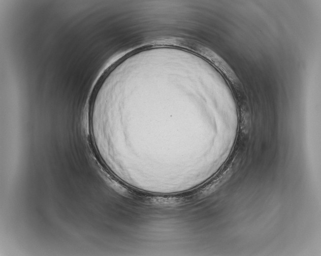 X0000110861036200907091336