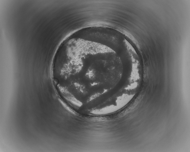 X0000110861037200907091336