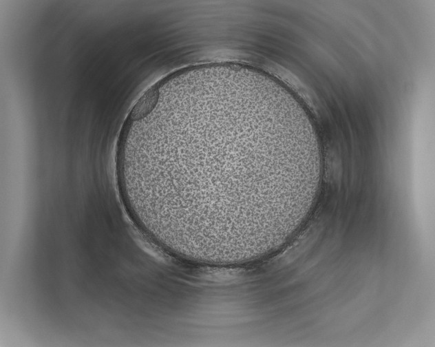 X0000110861039200907091336