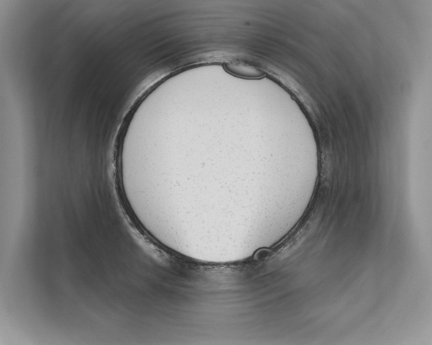 X0000110861042200907091336