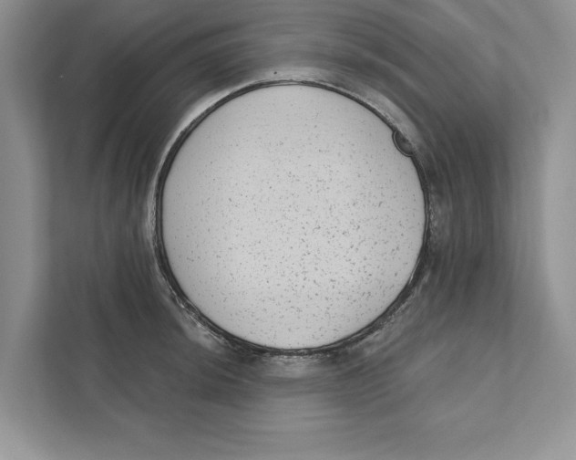 X0000110861044200907091336