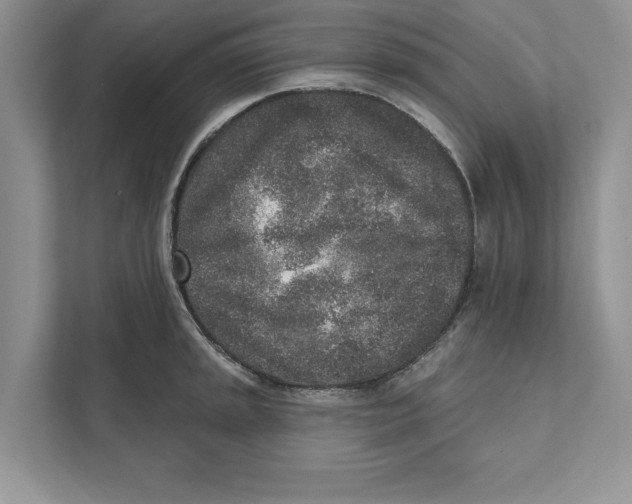 X0000110861045200907091336