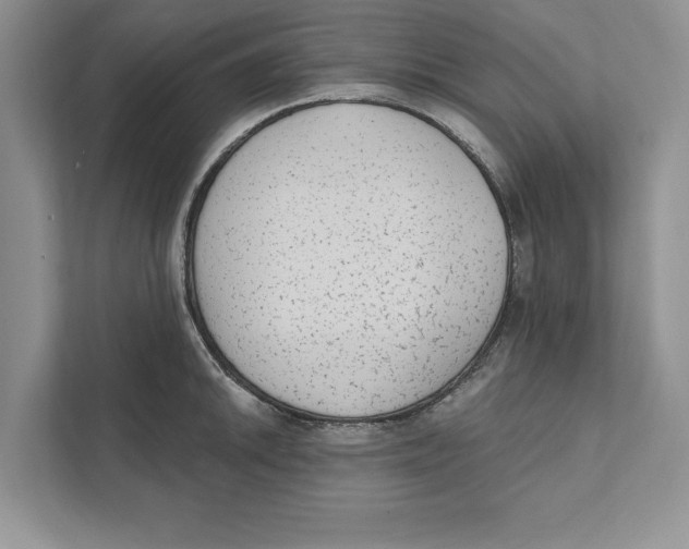 X0000110861046200907091336