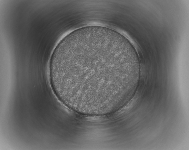 X0000110861048200907091336