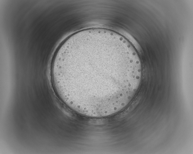 X0000110861051200907091336