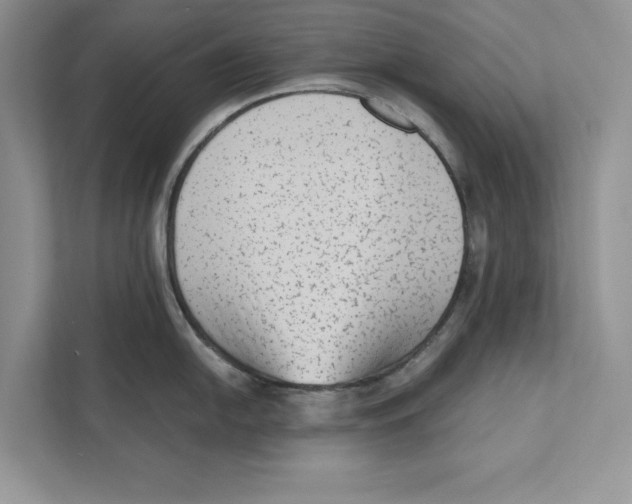 X0000110861054200907091336