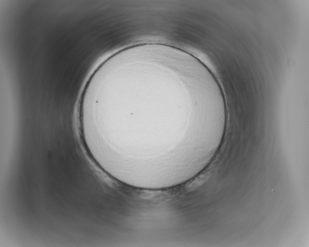 X0000110861056200907091336