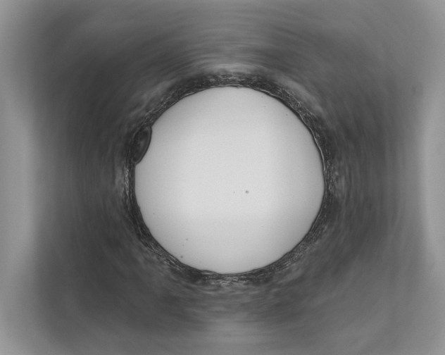 X0000110861061200907091336