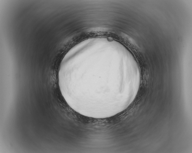 X0000110861062200907091336