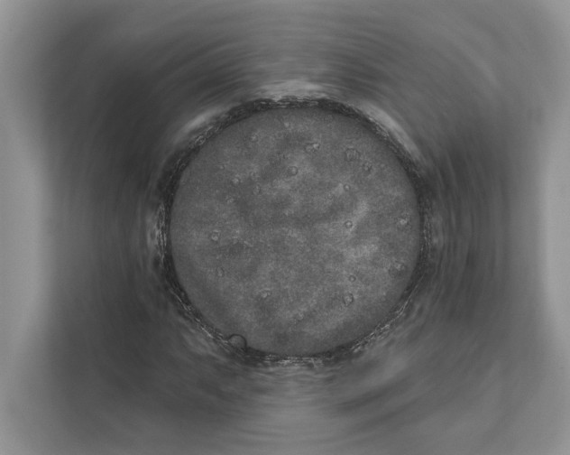 X0000110861063200907091336