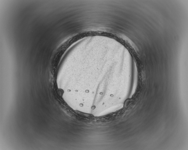 X0000110861064200907091336