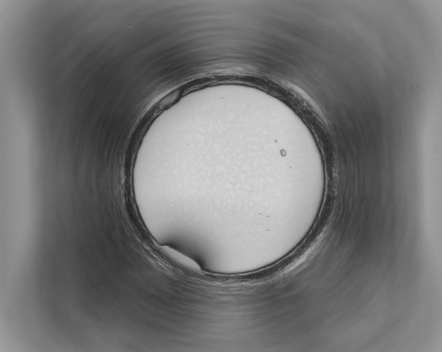 X0000110861065200907091336