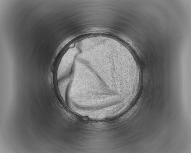 X0000110861066200907091336