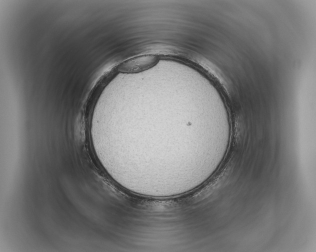 X0000110861067200907091336