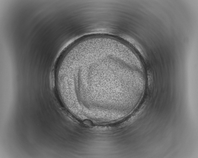 X0000110861069200907091336