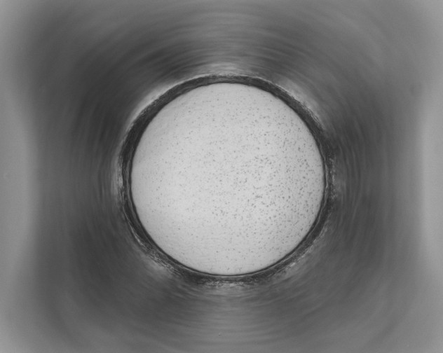 X0000110861070200907091336