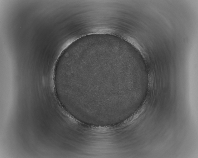 X0000110861071200907091336