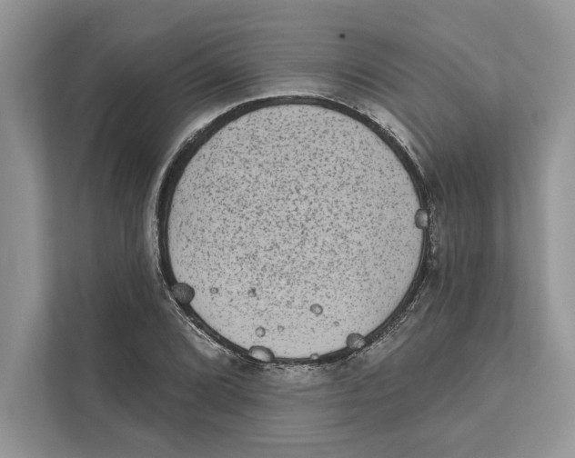 X0000110861072200907091336