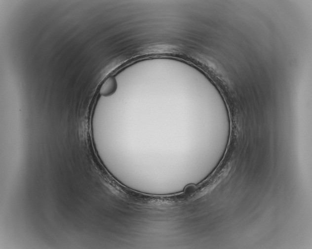 X0000110861073200907091336