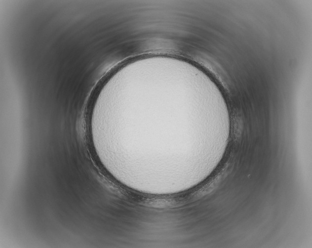 X0000110861074200907091335