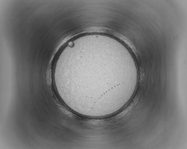 X0000110861075200907091335