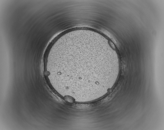 X0000110861076200907091335