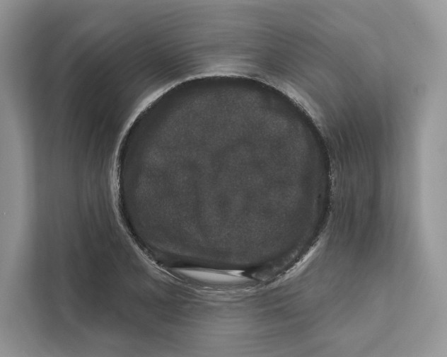 X0000110861077200907091335