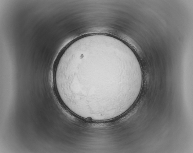 X0000110861079200907091335