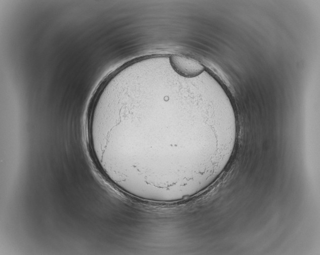 X0000110861080200907091335