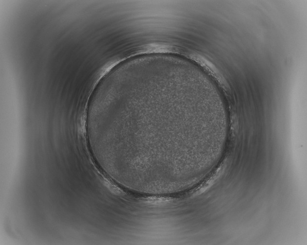 X0000110861081200907091335