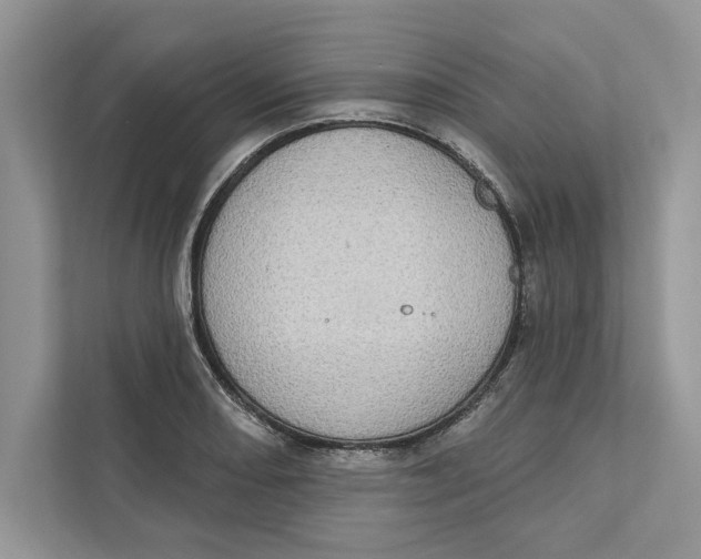 X0000110861082200907091335