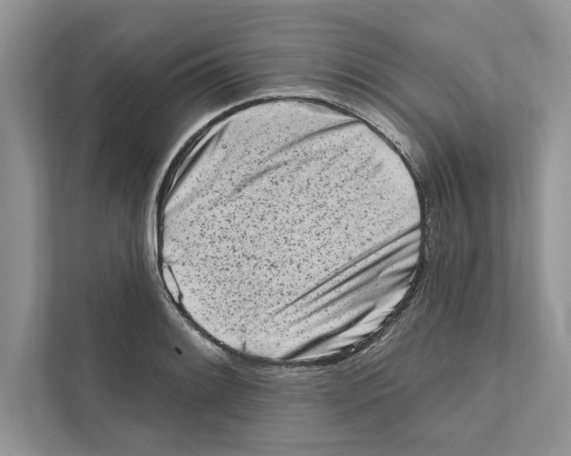 X0000110861084200907091335