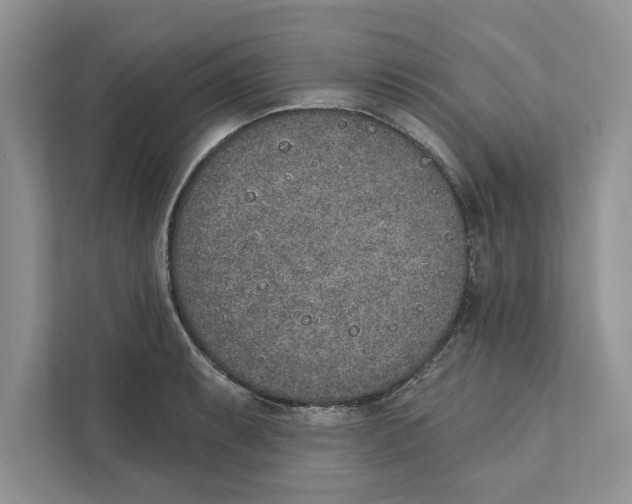 X0000110861087200907091335