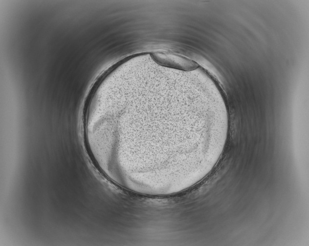 X0000110861088200907091335