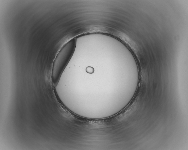 X0000110861089200907091335